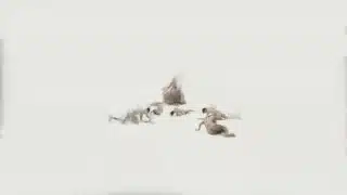 PEREGRINACION SEXUAL