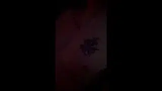 Home bi orgy is the best sex party ever