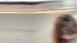 Oral Creampie (Compilation)