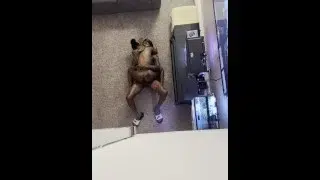 Passionate Fuck, His Dick Was Deep Inside My Stomach (Pt.1)