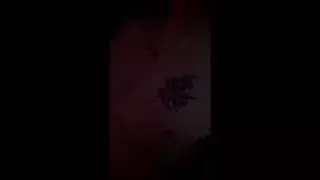 Home bi orgy is the best sex party ever