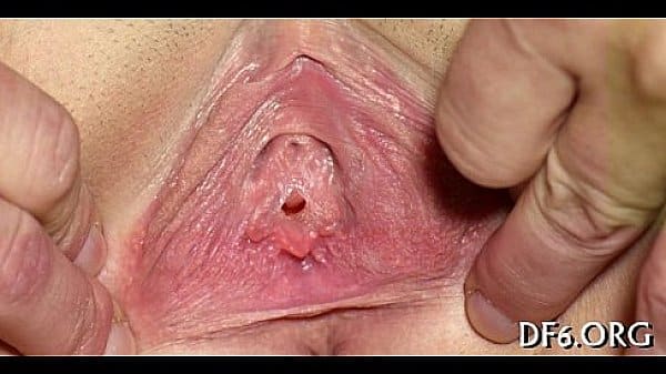 xv-9aa42147391c9a1f84bbc96d82340e08