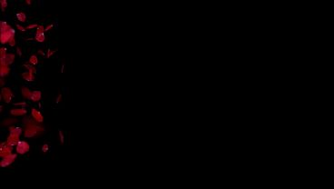 Dogging French Teacher Wife Extreme Deepthroat Risky Fuck Parking Loud Slut Moans Cumshot Part 2 4K