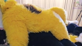 Fruity and Frisky Animals [Pineapple x Jamie]