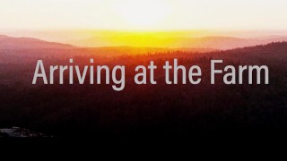 Sweet submissive girl drink piss in the woods before crawling to her domination session