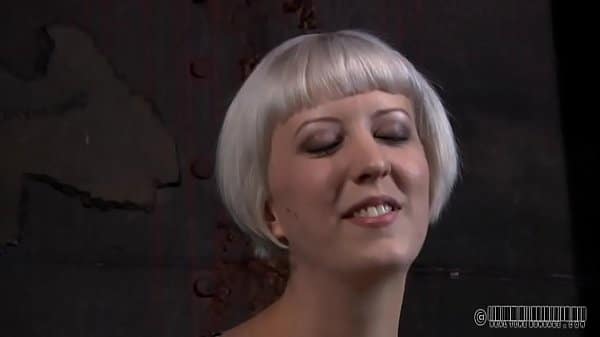 xv-07686df4bd2ff169231035c1c7dee140