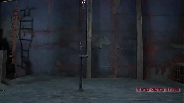 xv-948c8fd620635d5f0769c75739c02578