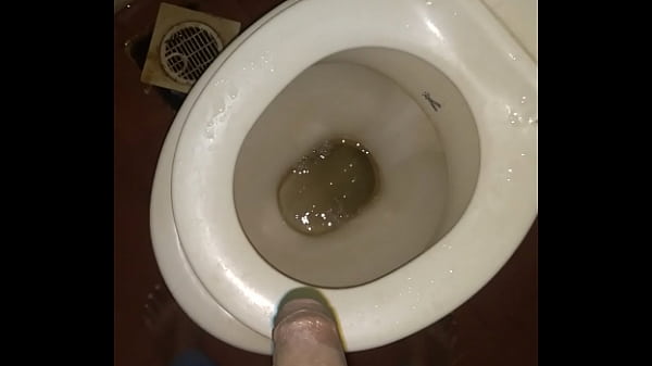 Xvideos