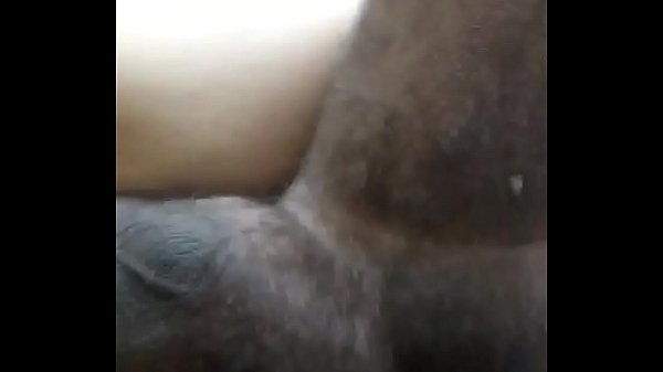 Xvideos