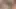 VIP4K. Clothes Be Gone. Hot sex with Sofia Lee