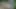 VIP4K. Hunter fucked a gypsy girl at abandoned house