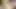 VIP4K.  Oh fuck! I seduced my girl’s boyfriend so easily again…