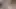 VIP4K. Sexy gastarbeiter sucking for love