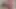 VIP4K. Two lesbians in pantyhose lick pussies before dildo penetration
